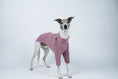 Bild in Galerie-Betrachter laden, Windhundmode in zartem Mulberry – Whippet steht elegant im rosafarbenen Fleecepullover
