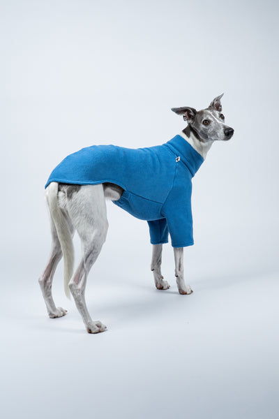 Seitenansicht: Whippet trägt körpernahen Fleecepullover in Sky Blue – stilvoll und bewegungsfreundlich