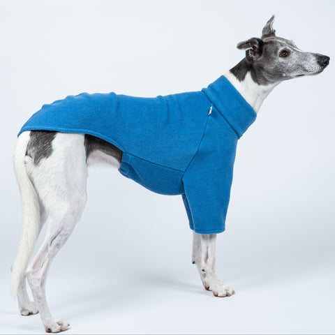 Fleece-Pullover in hellem Himmelblau an einem stehenden Whippet – bequem, leicht und funktional