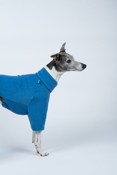 Whippet im weichen Sky Blue-Fleece – figurnah, leicht und ideal für Übergangszeiten