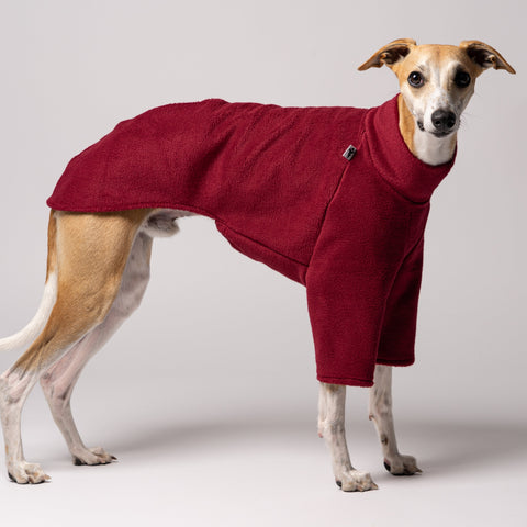 Seitenansicht - Whippet trägt Pullover in Bordeaux Made in Germany