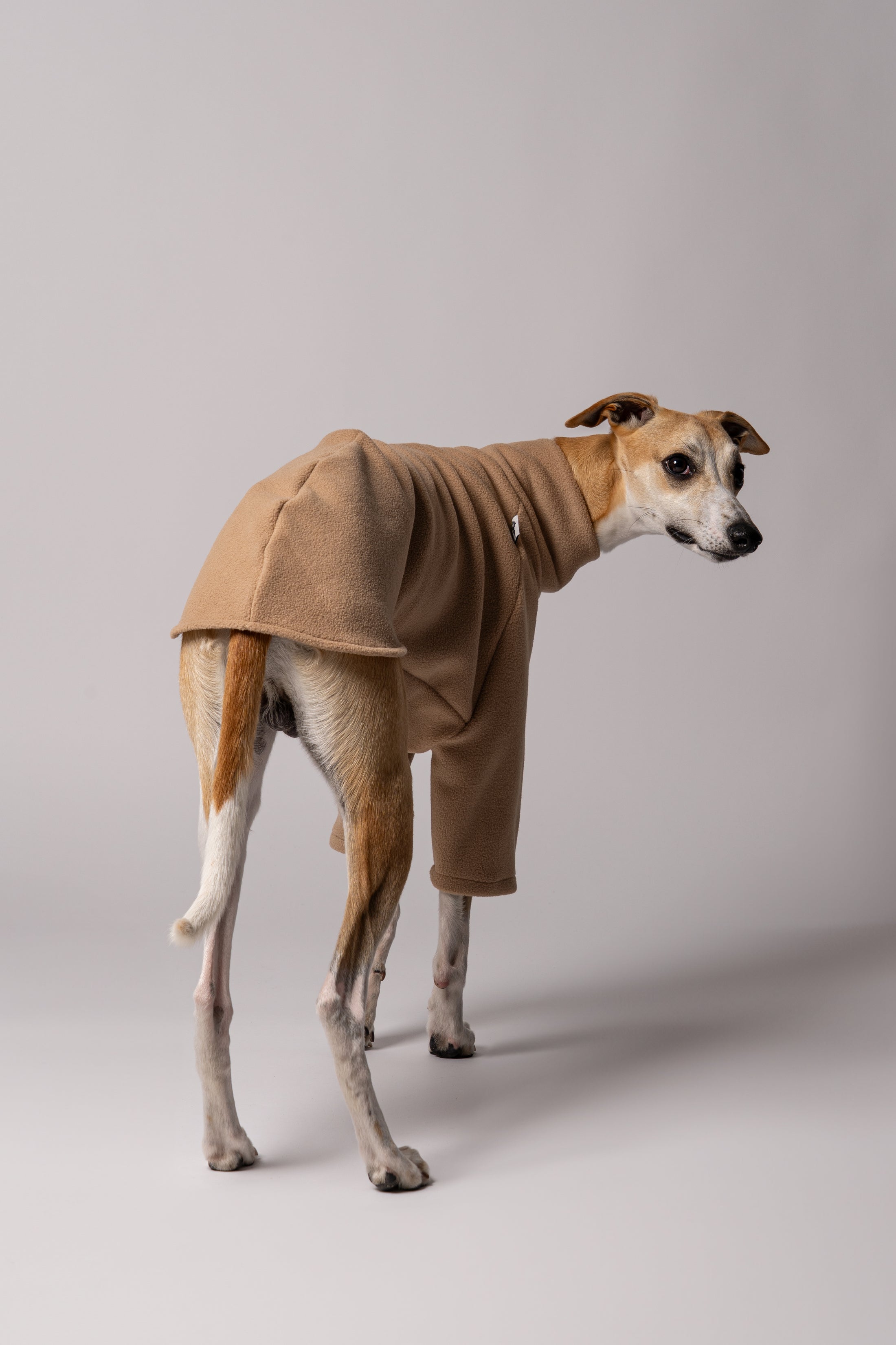 Ansicht von hinten - Windhund in Polar Fleece Pullover in Camel Made in Germany
