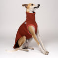 Bild in Galerie-Betrachter laden, Whippet Rüde im Sweat-Shirt in Terracotta – warme Farbe, ideal für Herbst und Winter
