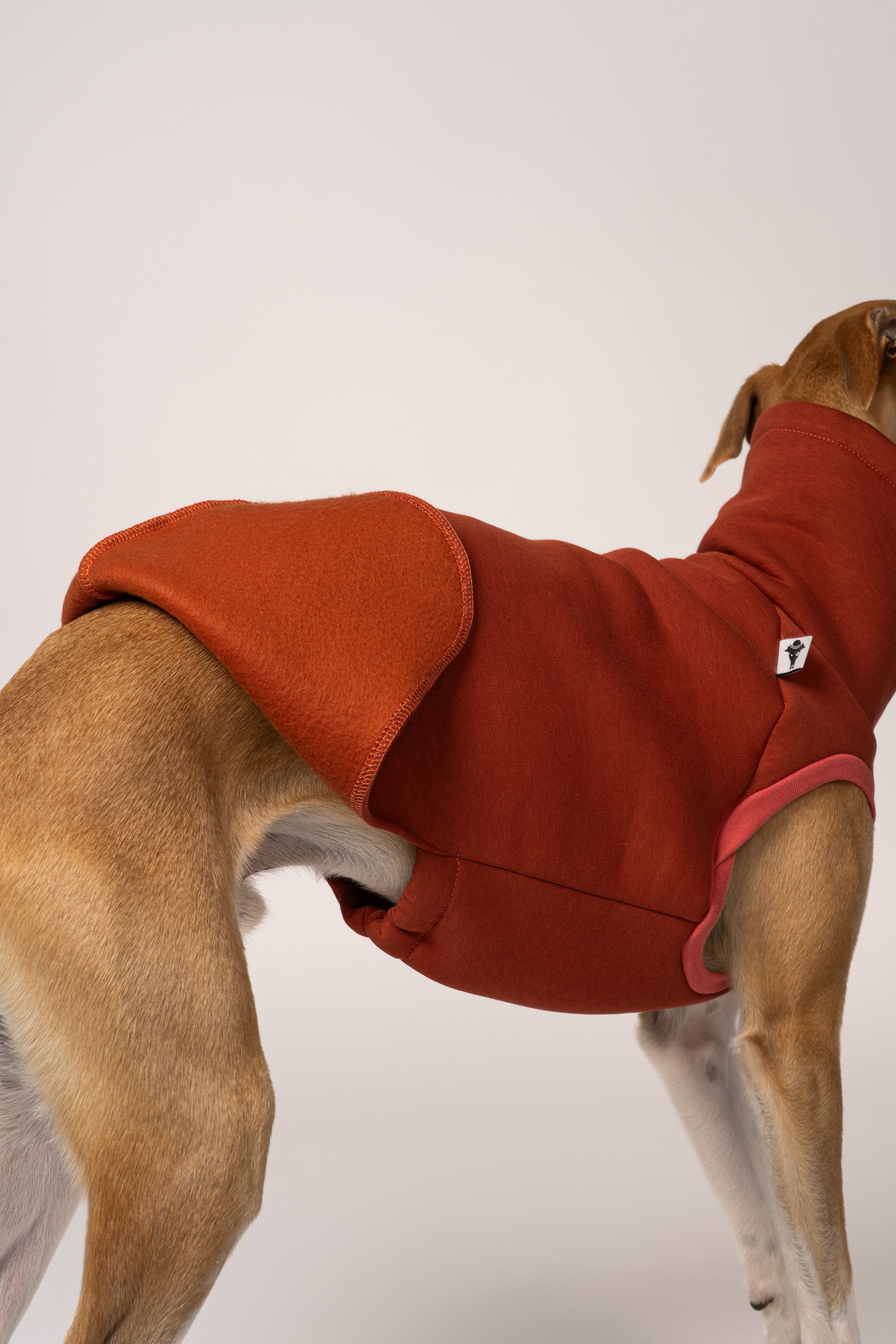 Terracotta Long Shirt in Detail – perfekter Sitz am jungen Whippet