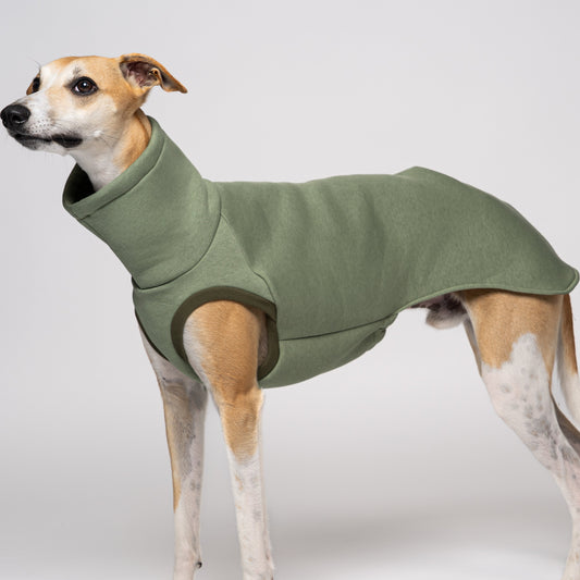 Whippet im Matcha Long Shirt – zarter Grünton auf weißem Hintergrund