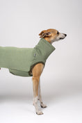 Bild in Galerie-Betrachter laden, Frischer Look für Windhunde: Whippet trägt Baumwollfleece-Shirt in Matcha
