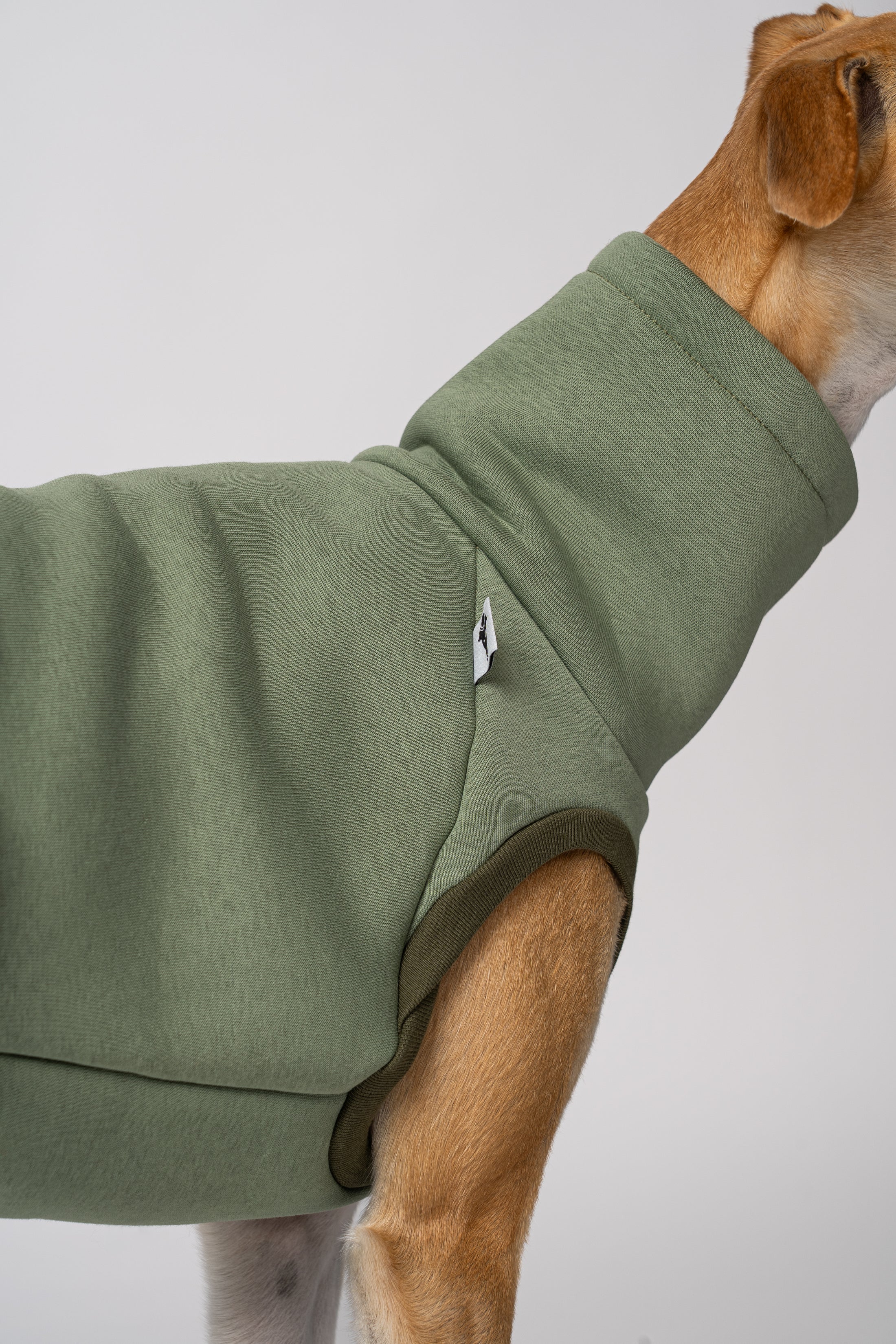 Matcha farbener Sweatshirt für Windhunde Nahaufnahme Bündchen