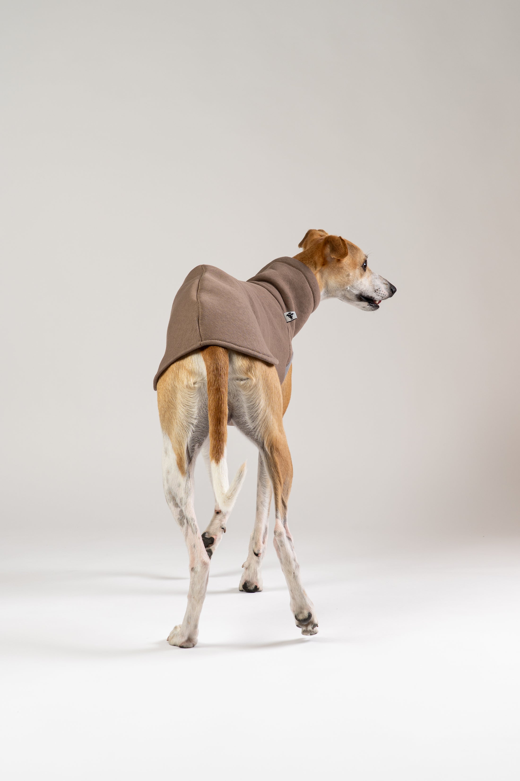 Brauner Whippet-Pullover von Karma Hund – funktional, minimalistisch und bequem.