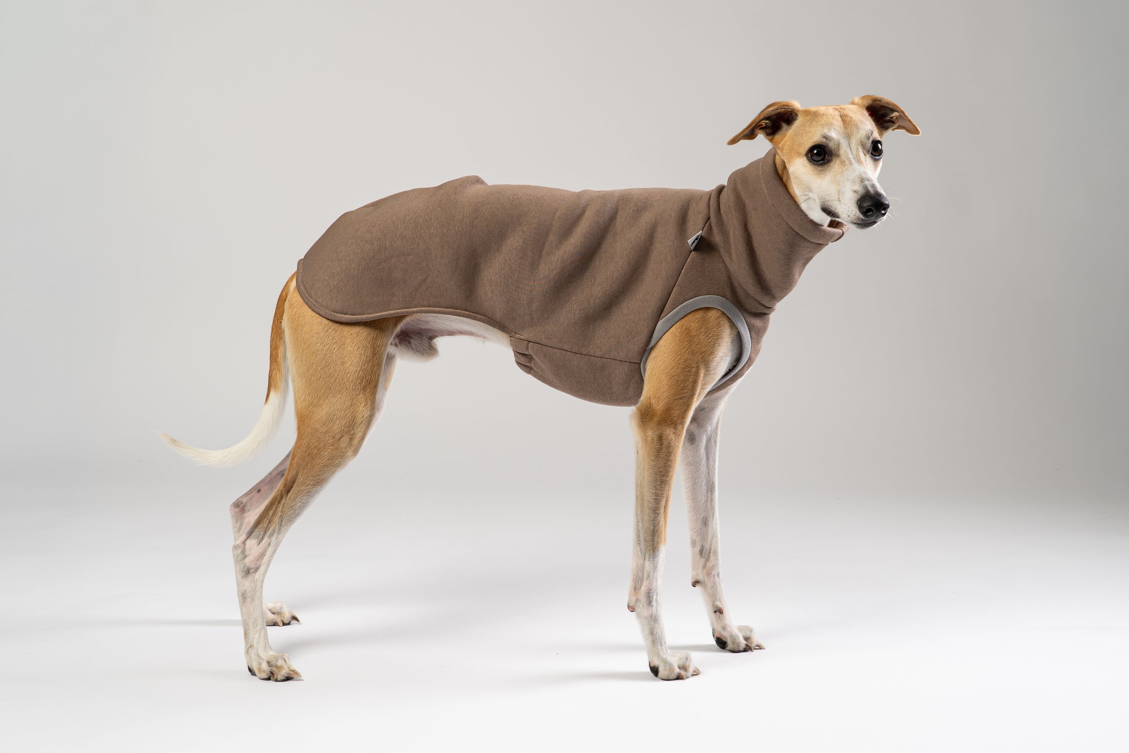 Karma-Hund Pullover in Braun für Whippets – anschmiegsam und stilvoll.
