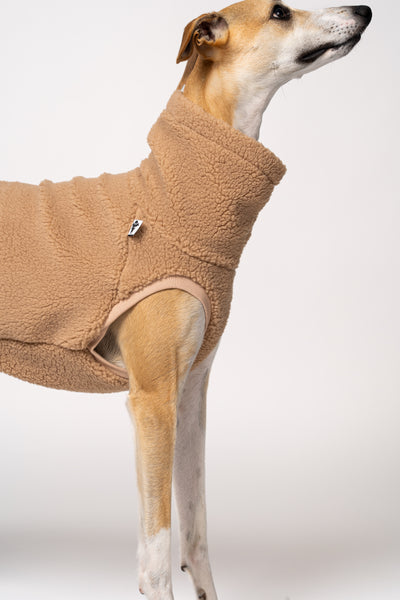 Windhundmode für den Winter – Teddy Camel Long Shirt für Whippets