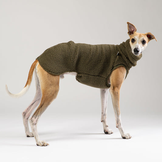 Windhund trägt beiges Teddy Shirt mit perfekter Passform – gemütliche Windhundmode für Whippets & Co.