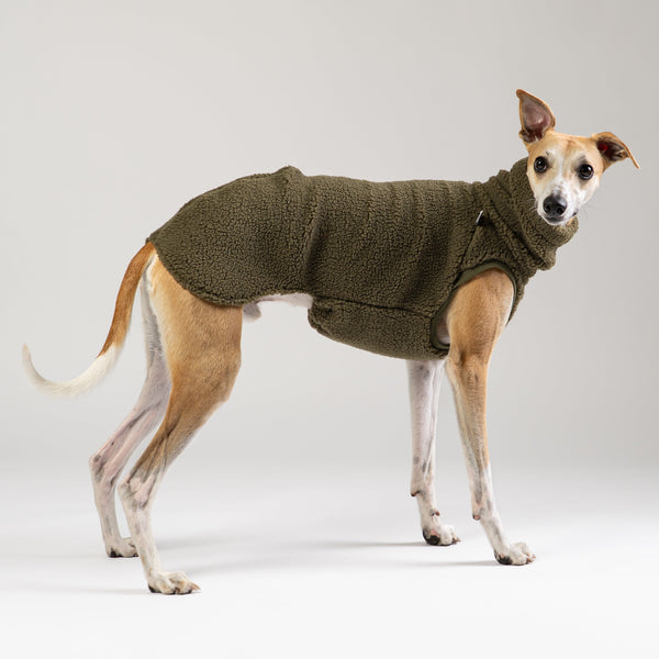 Windhund trägt beiges Teddy Shirt mit perfekter Passform – gemütliche Windhundmode für Whippets & Co.