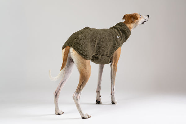 Weiches Long Shirt für Whippets aus Teddy-Fleece – idealer Kälteschutz mit Stil und Komfort