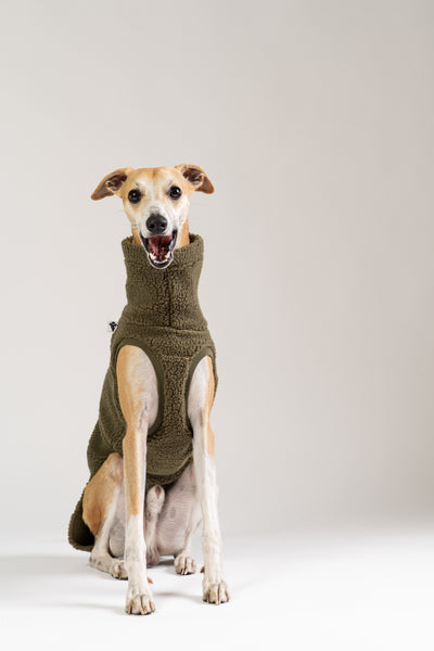Flauschiges Windhund Long Shirt für Whippets und Silken Windsprites – gemütlich, leicht und wärmend