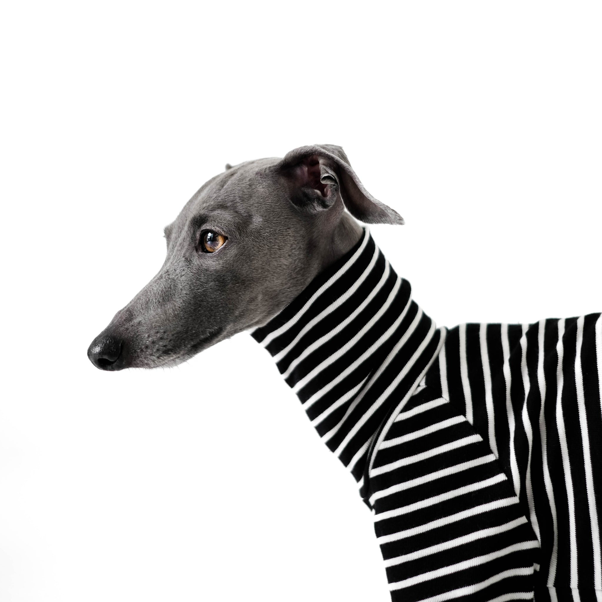 VOODUE Hundemantel Für Windhunde - Gestreifter Zweibeiner Mit Hohem Kragen, Baumwolle, Für Whippet & Italienische Windspiele