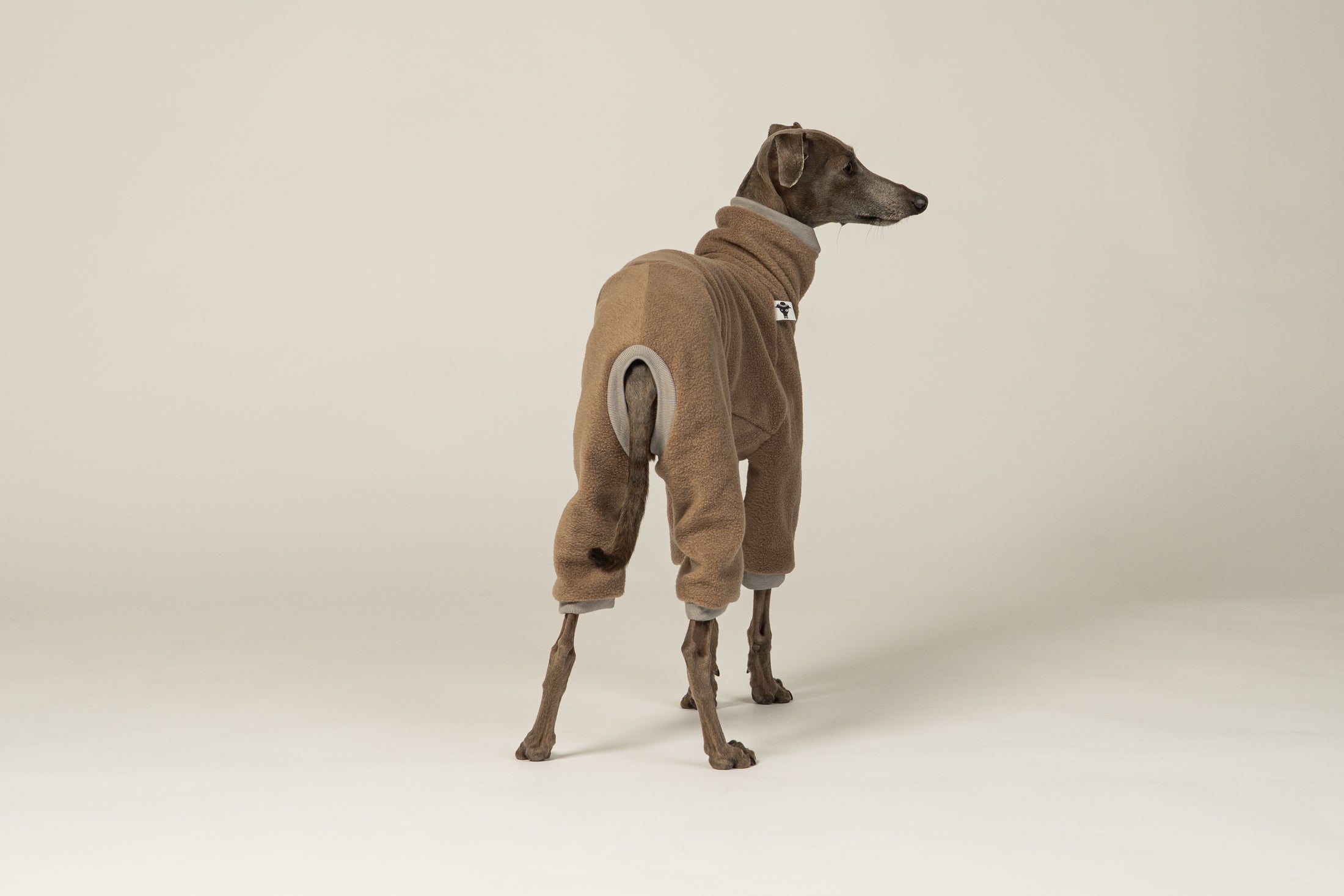 Italienisches Windspiel trägt Overall in Walnut aus weichem Fleece-Material