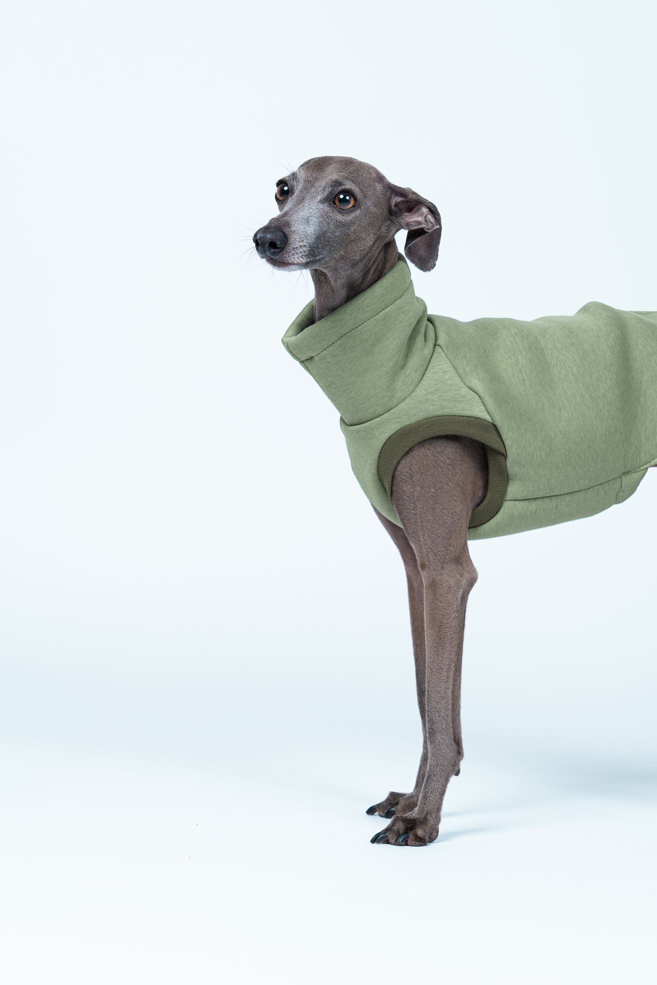 Stehendes Windspiel präsentiert Sweat Shirt in Matcha – idealer Sitz für feingliedrige Körper