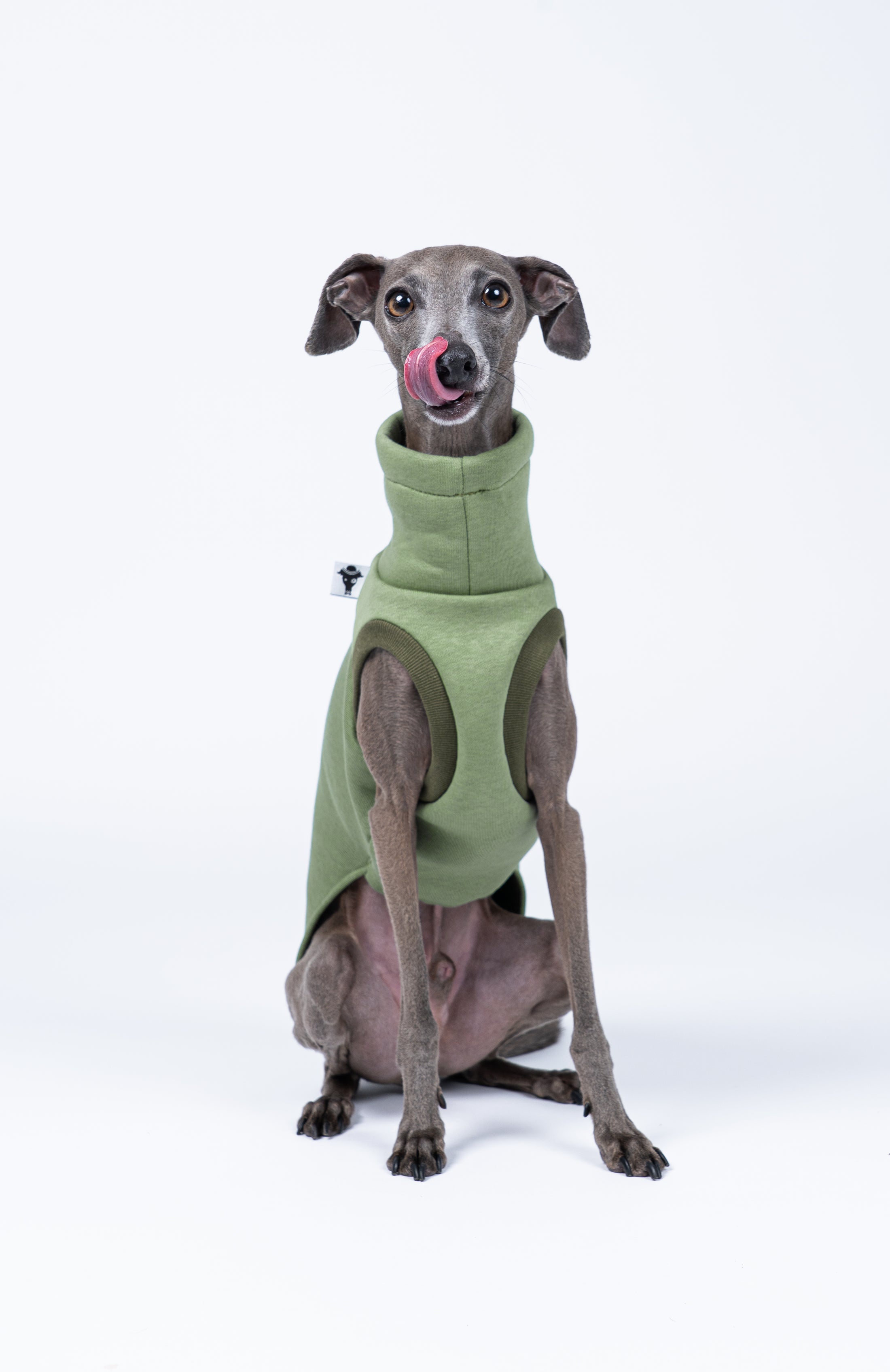 Frontalansicht: Windspiel im Sweat Shirt in Matchagrün – anschmiegsam, weich und funktional