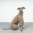 Bild in Galerie-Betrachter laden, WINTER OVERALL 2.0 Iggy Taupe
