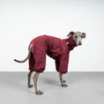 Bild in Galerie-Betrachter laden, WINTER OVERALL 2.0 Iggy Weinrot
