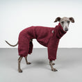 Bild in Galerie-Betrachter laden, WINTER OVERALL 2.0 Iggy Weinrot
