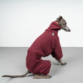 Bild in Galerie-Betrachter laden, WINTER OVERALL 2.0 Iggy Weinrot
