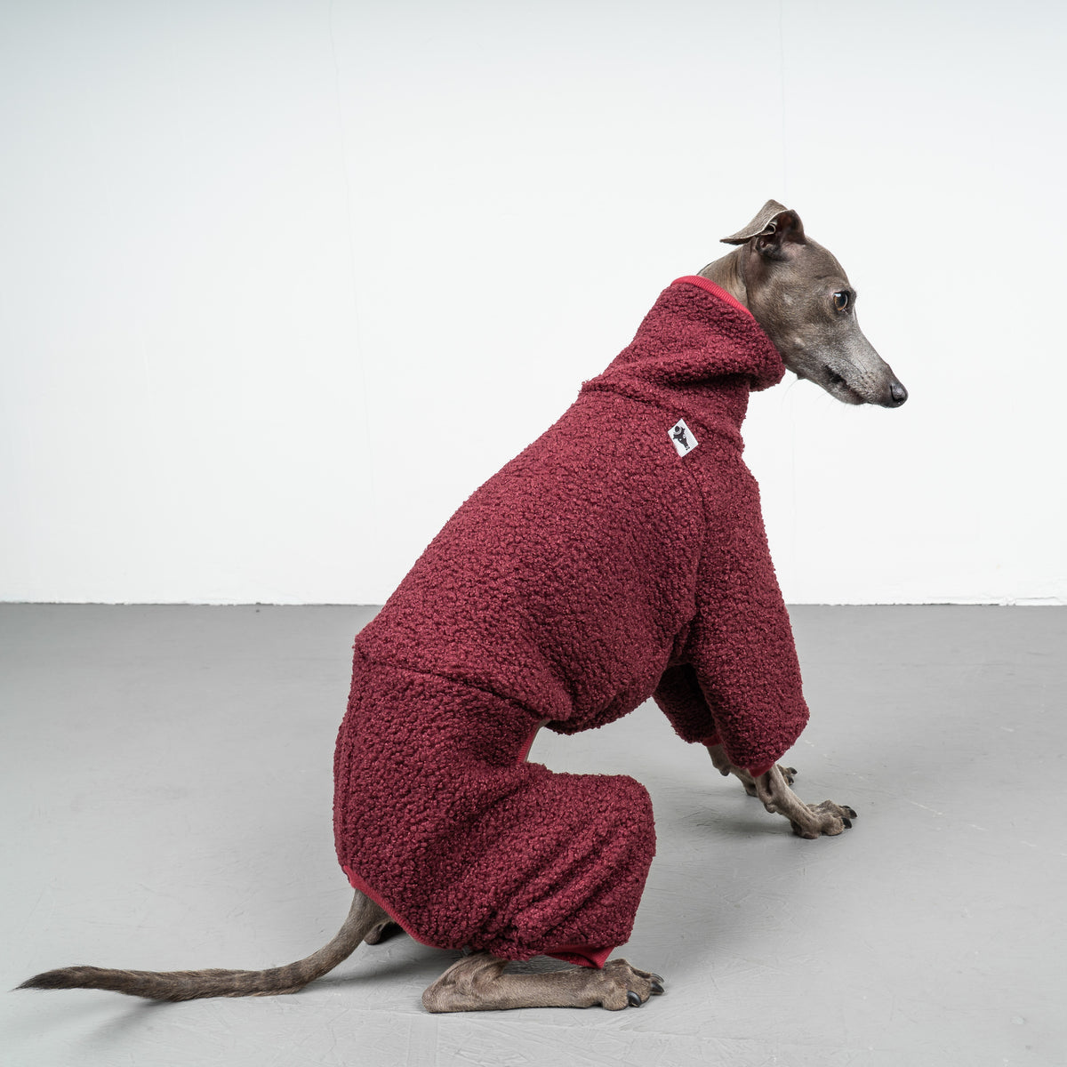 WINTER OVERALL 2.0 Iggy Weinrot
