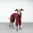 Bild in Galerie-Betrachter laden, WINTER OVERALL 2.0 Iggy Weinrot
