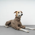 Bild in Galerie-Betrachter laden, WINTER OVERALL 2.0 Windhund Taupe
