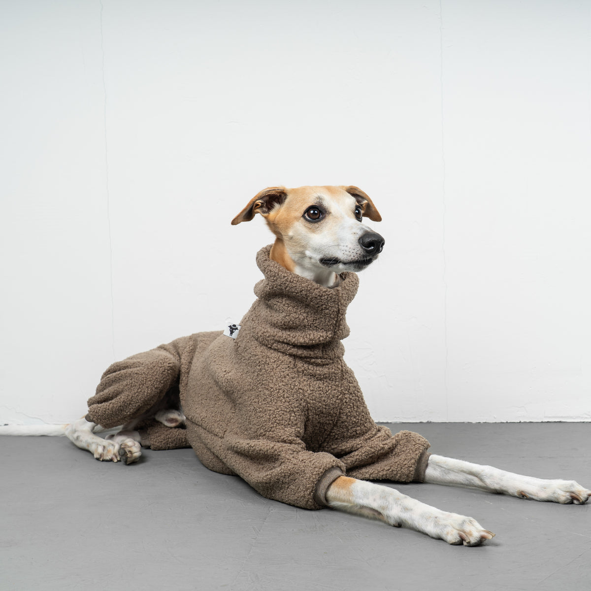WINTER OVERALL 2.0 Windhund Taupe