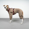 Bild in Galerie-Betrachter laden, WINTER OVERALL 2.0 Windhund Taupe
