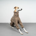 Bild in Galerie-Betrachter laden, WINTER OVERALL 2.0 Windhund Taupe
