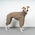 Bild in Galerie-Betrachter laden, WINTER OVERALL 2.0 Windhund Taupe

