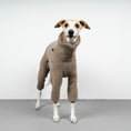 Bild in Galerie-Betrachter laden, WINTER OVERALL 2.0 Windhund Taupe
