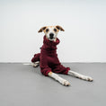 Bild in Galerie-Betrachter laden, WINTER OVERALL 2.0 Windhund Weinrot
