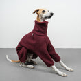 Bild in Galerie-Betrachter laden, WINTER OVERALL 2.0 Windhund Weinrot

