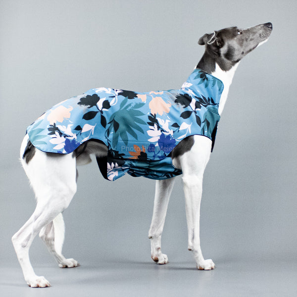 City Breeze dog raincoat™ WHIPPET Regenmantel Summer Storm
