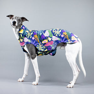 City Breeze dog raincoat™ WHIPPET Regenmantel Fruity